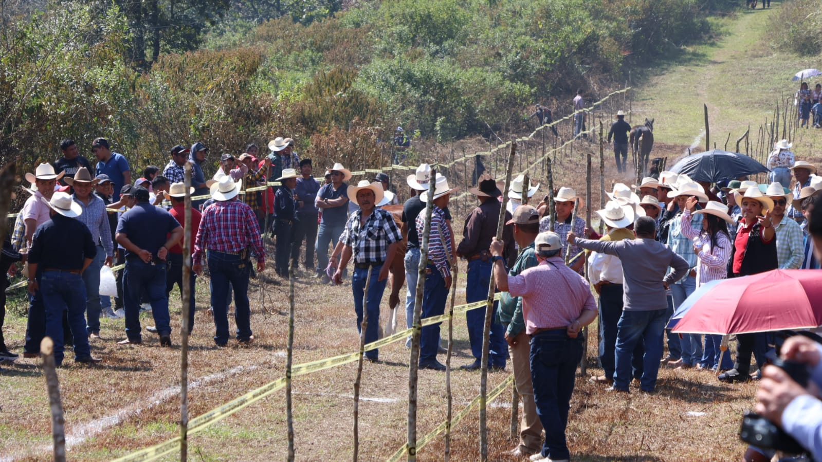 Archivo y documentación