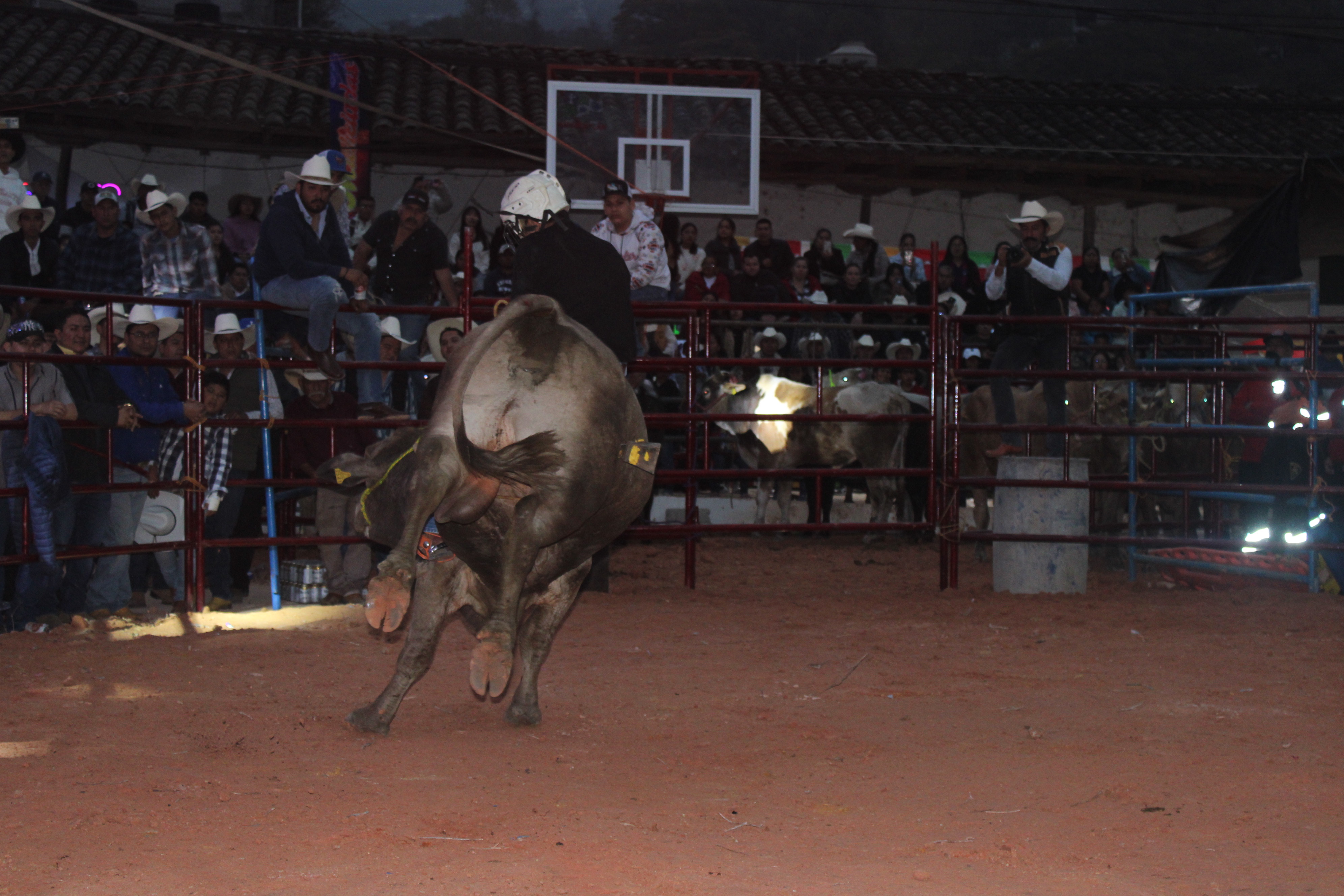 Archivo y documentación